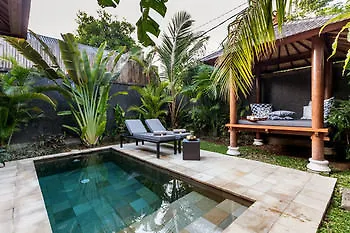 Mango Tree
